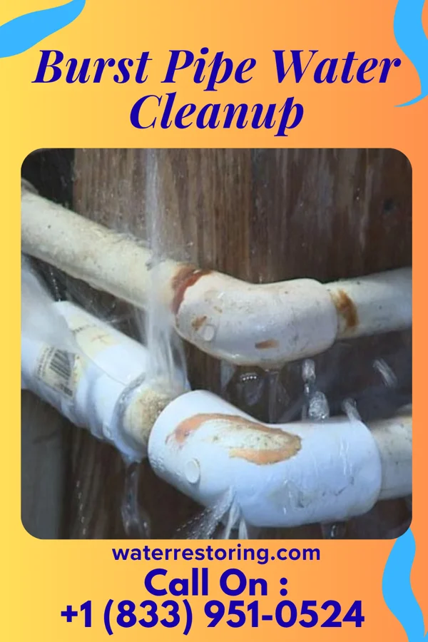 Burst Pipe Water Cleanup in McLendon-Chisholm, TX