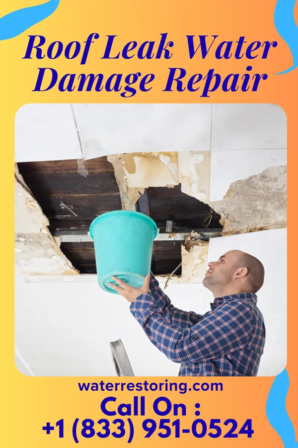 Roof Leak Water Damage Repair in McLendon-Chisholm, TX